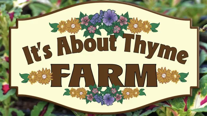 Its about thyme farm logo